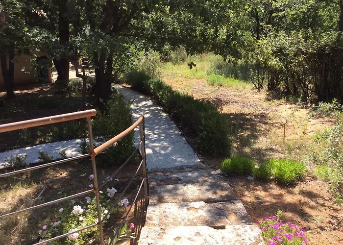 Le Bois De La Cour